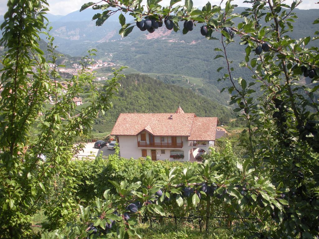 Вілла Agritur Maso Pomarolli Giovo Екстер'єр фото